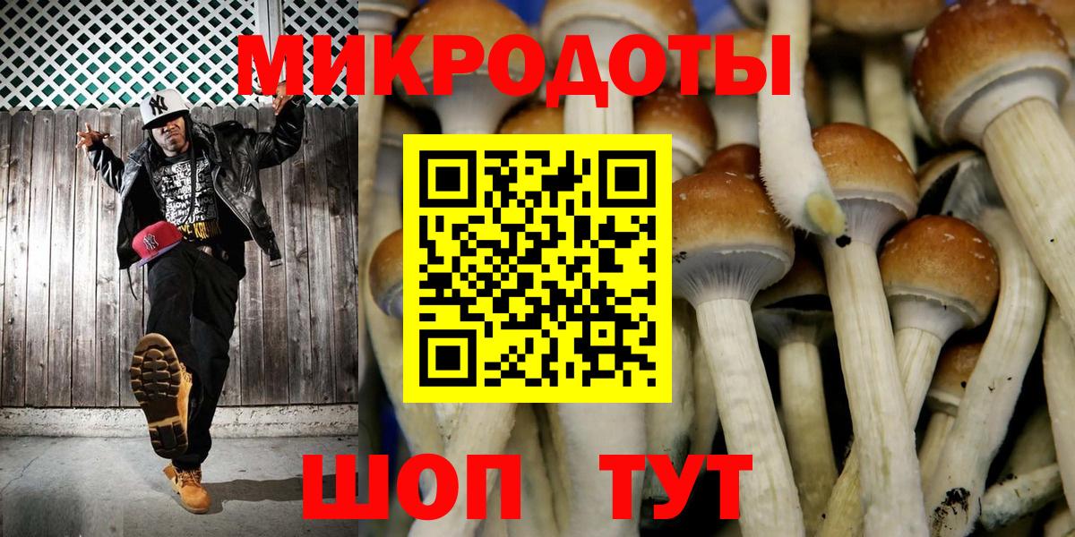 Галлюциногенные грибы Magic Shrooms  Псилоцибиновые грибы Psilocybe  Подольск  Вход с VPN 